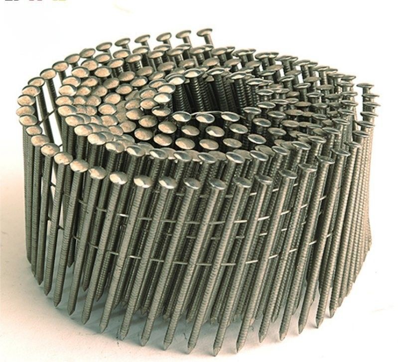 0.083*2 Inch Galvanized Coil Nail White Paint Thread Shank Nails Untuk Kayu Palet