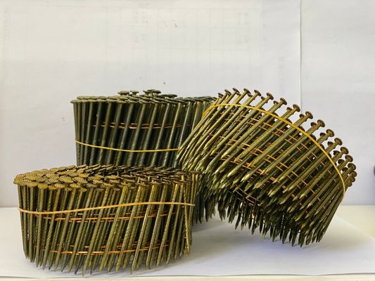 Harga yang pantas Shingle Nail Galvanized Coil Nail Stainless Steel Galvanized Roofing Nails Coil on line